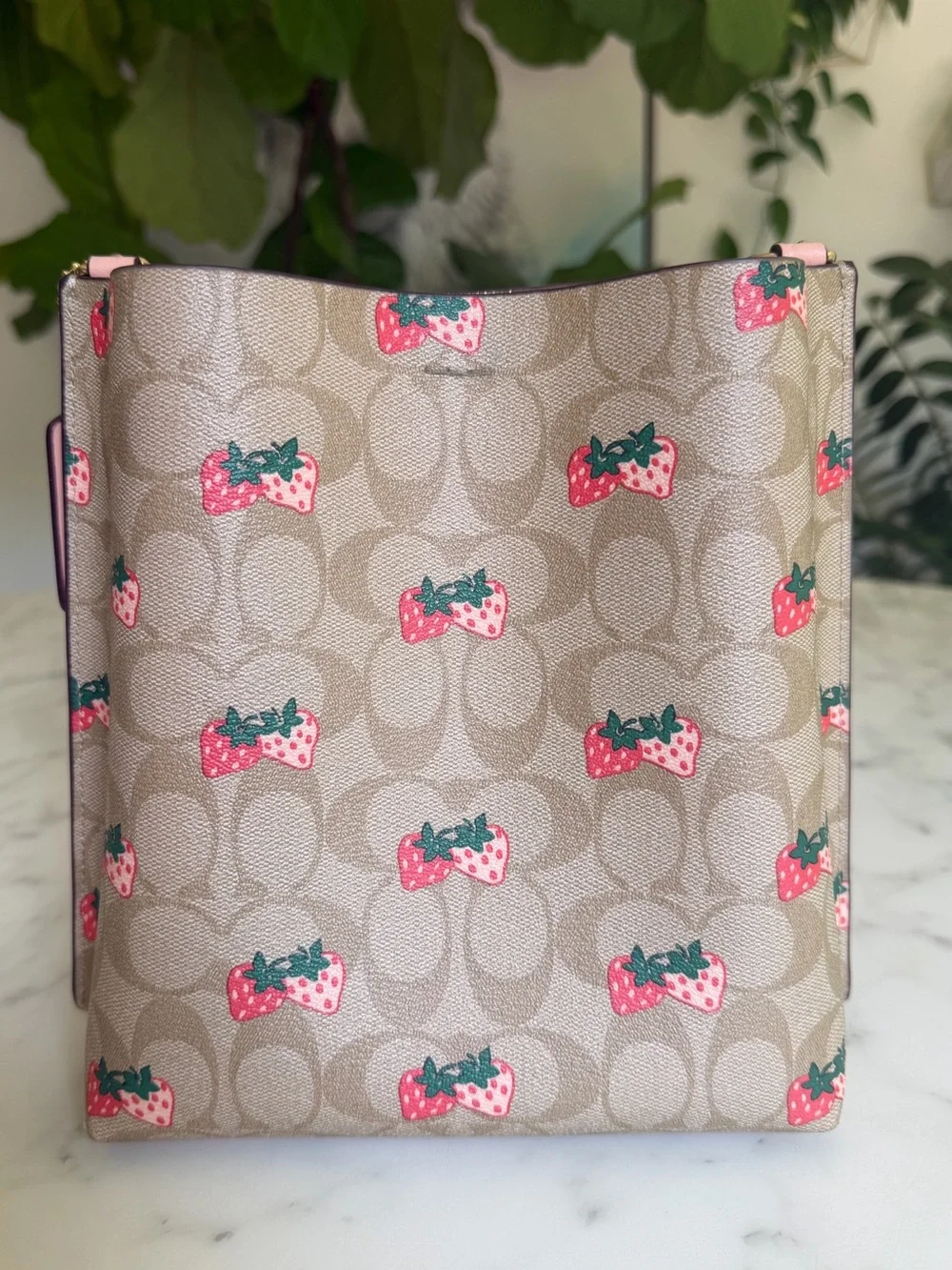 Coach Mollie Bucket Bag 22 In Signature Canvas With Strawberry Print CB602